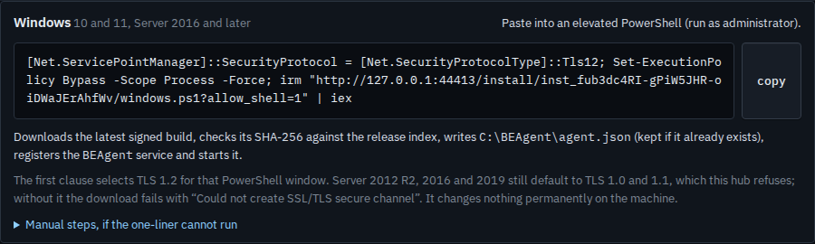 Windows install command whose URL includes allow_shell=1