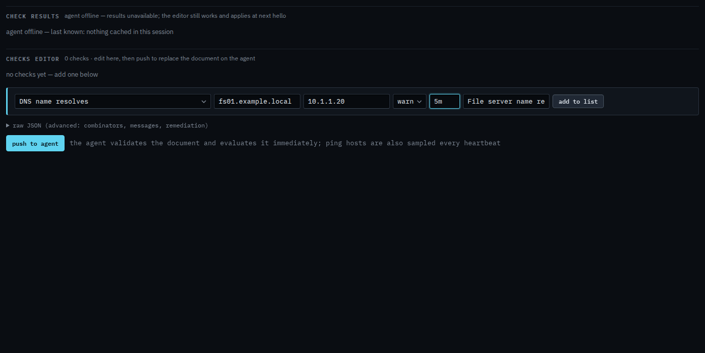 Checks editor with a DNS check for fs01.example.local expected at 10.1.1.20