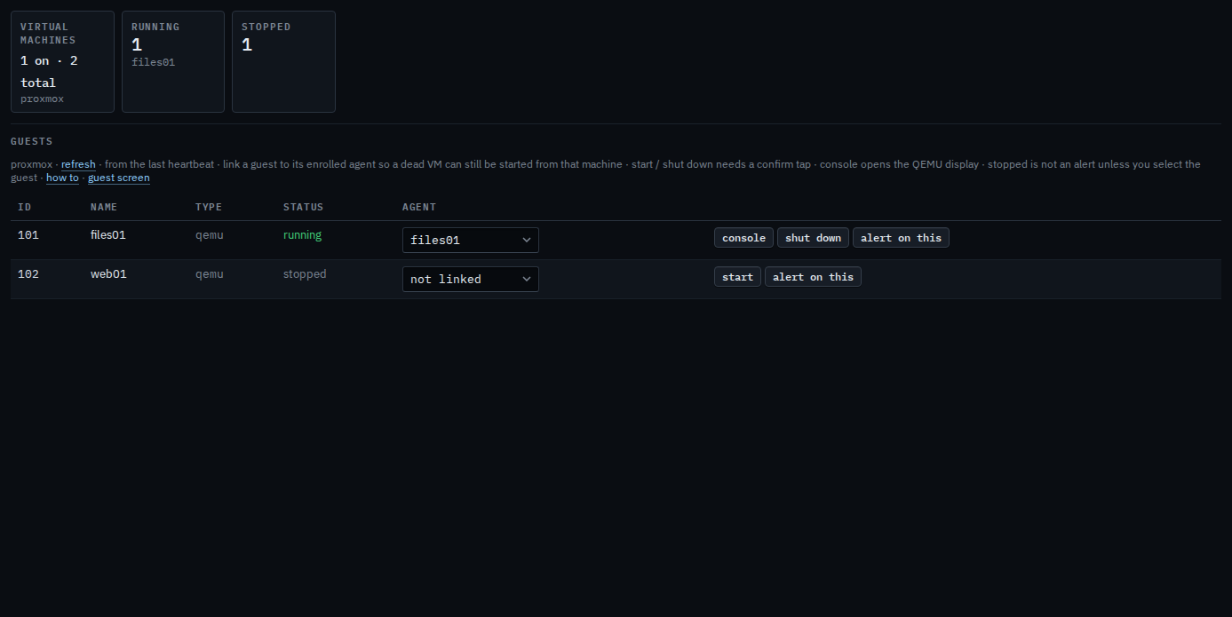 VMs tab with a console button on the running guest files01