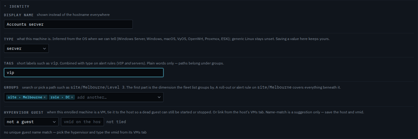 Identity panel with vip typed in the tags field and save not pressed
