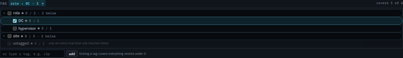 Tag tree with role DC ticked while the server type is also ticked, covering one machine