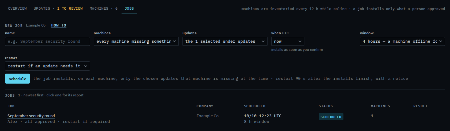 Patch job form with updates set to the one selected under updates, and schedule not pressed