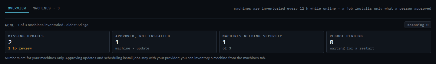 Patches overview after scan my machines, with the button reading scanning 0